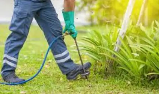 Why Termite Control Is Essential for Property Protection and Long-Term Safety